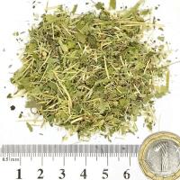 Зимзелен стрък 100 гр