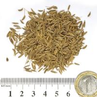 Ким плод 100 гр