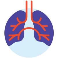 Чай Бронхозан насипен 150г