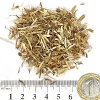 Котешка стъпка стрък (Hb. Clinopodii - clinopodium vulg) 100 гр