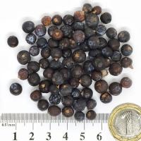 Синя хвойна плод 100 гр