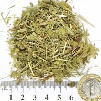 Цариче стрък 100g /Hb. Alchemillae/