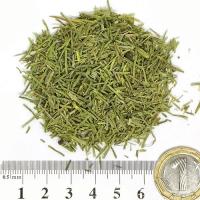 Полски хвощ стрък 100 гр