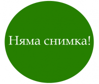 Сироп от бъз 500 мл. РУАН 2010