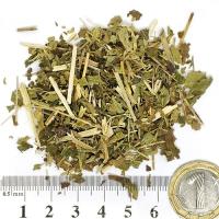 Блатен тъжник стрък